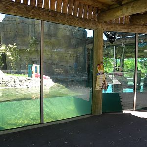 White-Cheeked Gibbon/Small-Clawed Otter Exhibit