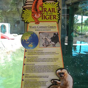 White-Cheeked Gibbon/Small-Clawed Otter Exhibit