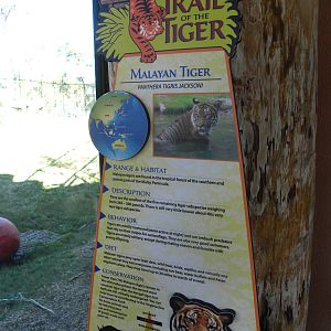 Tiger Exhibit