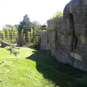 Tiger Exhibit