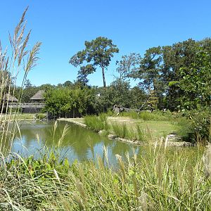 Southern White Rhino/Grant's Zebra Exhibit