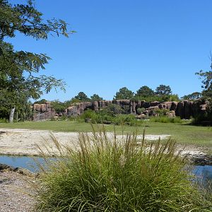 Southern White Rhino/Grant's Zebra Exhibit