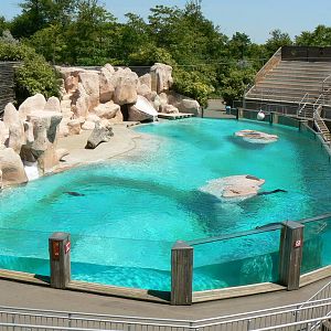 Sea lion complex - main pool