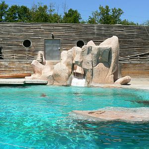 Sea lion complex - main pool and the house