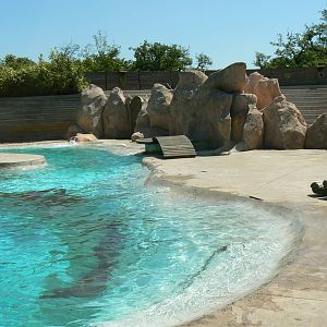 Sea lions complex - second pool