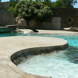 Sea lions complex - second pool