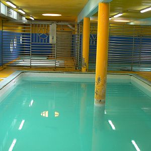 Sea lions complex - indoor pool