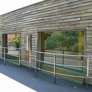 Sea lions complex - windows for looking into the house