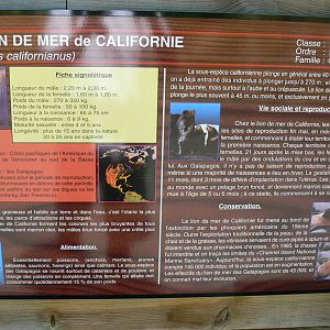 Sea lions complex - californian sea lions signage