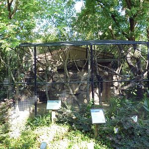 White-Faced Saki/Two-Toed Sloth Exhibit