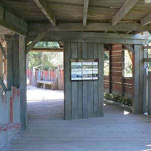 Penguin pier - general view