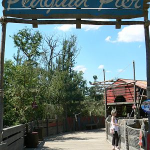 Penguin pier - general view