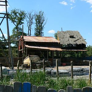 Penguin pier - general view