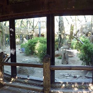 Chimpanzee Exhibit