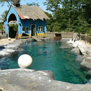 Penguin pier - penguins pool