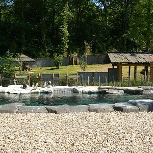 Penguin pier - view on the pool and the tapirs and giant anteaters exhibit