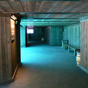 Penguin pier - in the tunnel