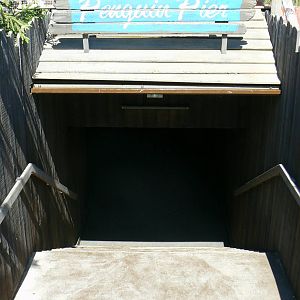 Penguin pier - tunnel entrance