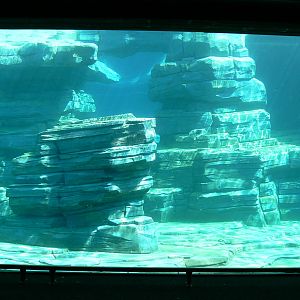 Penguin pier - second and main underwater viewing
