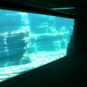 Penguin pier - second and main underwater viewing