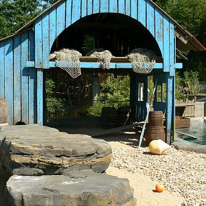 Penguin pier - general view