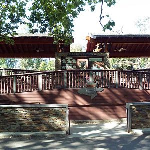 Giraffe Viewing Platform