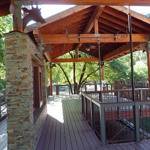 Giraffe Viewing Platform