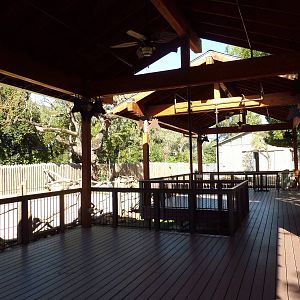 Giraffe Viewing Platform