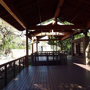 Giraffe Viewing Platform