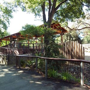 Giraffe Viewing Platform