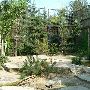 Sandhill cranes exhibit - general view