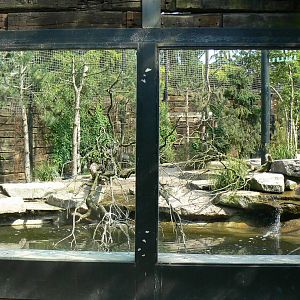Sandhill cranes exhibit - general view