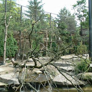 Sandhill cranes exhibit - general view
