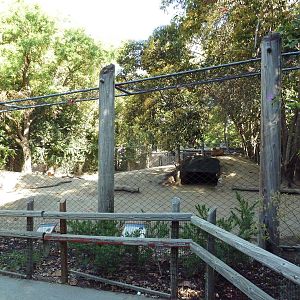 Red Kangaroo/Red-Necked Wallaby/Emu Exhibit