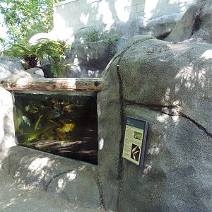 Koi Exhibit