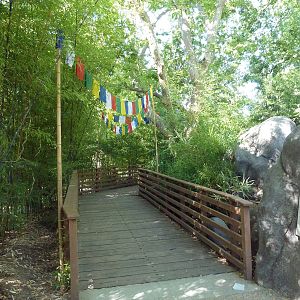 Red Panda Exhibit - Visitor Pathway