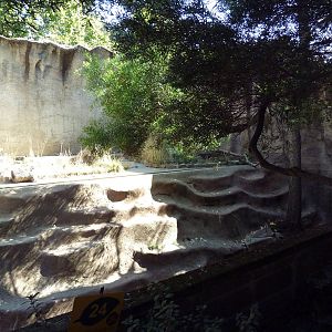 Spotted Hyena Exhibit