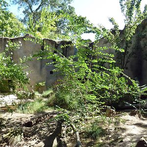 Giant Anteater Exhibit