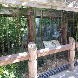 Sumatran Tiger Exhibit