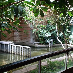 Hippo House interior @ Bristol; 23.07.2011