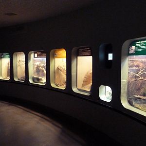 Reptile House