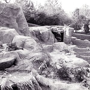 Gorilla Exhibit - 1970's