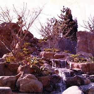 Gorilla Exhibit - 1970's