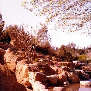 Gorilla Exhibit - 1970's