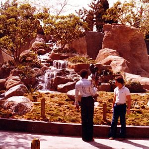 Gorilla Exhibit - 1970's