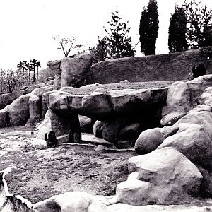 Gorilla Exhibit - 1970's