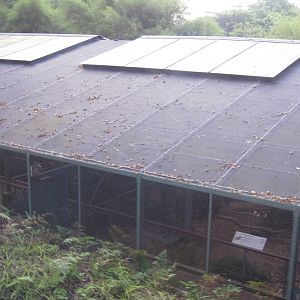 From the Panorail - Royal Ramble