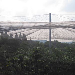 From the Panorail - Lory Loft