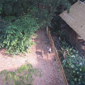 From the Panorail - Dinosaur Descendants