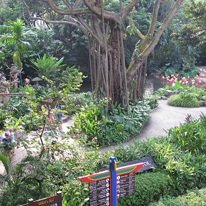 From the Panorail - Macaw Island and Flamingo Pool